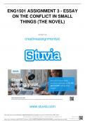 ENG1501 ASSIGNMENT 3 - ESSAY ON THE CONFLICT IN SMALL THINGS &lpar;THE NOVEL&rpar;