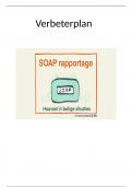 Werkt aan het bevorderen en bewaken van kwaliteitszorg &lpar; Verbeterplan &rpar;