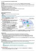 Summary Notes- A Level Biology AQA 3&period;2&period;4 Cell recognition and the immune system