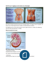 Klinisch Redeneren T2 Les 7 Ligging van de nieren en urinewegen