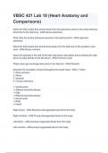 VBSC 421 Lab 18 &lpar;Heart Anatomy and Comparisons&rpar;