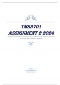 TMS3701 Assignment 2 2024