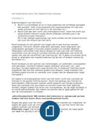 samenvatting-Inleiding-in-het-Nederlands-recht.docx