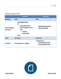 vennootschappen met volkomen rechtspersoonlijkheid - facultatieve organen NV