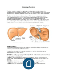 Anatomy Gastrointestinal System