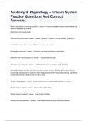 Anatomy & Physiology ~ Urinary System Practice Questions And Correct Answers&period;