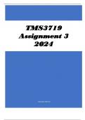 TMS3719 Assignment 3 2024
