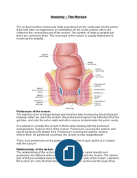 Anatomy - The Rectum and Anal Canal