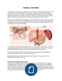 Anatomy - The Spleen