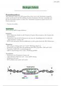 Biologie Grundwissen 10&period;-11&period; Klasse Zusammenfassung 