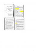 Notes by Digraj Singh Rajput 
