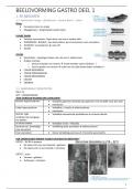 BUNDEL RADIOLOGIE gastro & bewegingsstelsel 1E master 