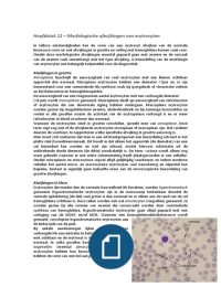 HEMATOLOGIE - hoofdstuk 12&colon; Morfologische afwijkingen van erytrocyten