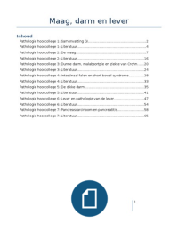 Hoorcolleges   literatuur pathologie MDL semester 5&period;2