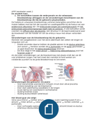 leerdoelen afpf week 2 &lpar;alle leerdoelen in BUNDEL&rpar;