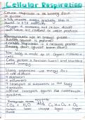 Cellular respiration 