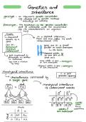 The best notes on  A-level Biology &colon; Topic 7