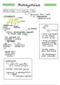 The ultimate A level Biology notes - paper 2 AQA