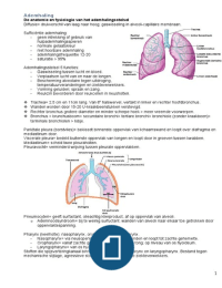 Minor acute zorg HBO-V