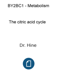 Tricarboxylic Acid Cycle(citric acid cycle)