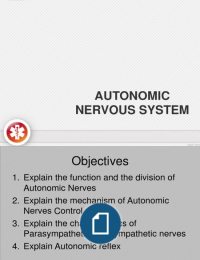 Autonomic Nervous System 