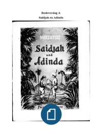 boekverslag Saidjah en Adinda