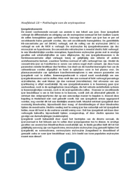 HEMATOLOGIE - hoofdstuk 13&colon; Pathologie van de erytropo&iuml;ese