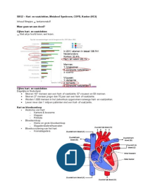 SBG2 - HVZ, COPD en Kanker (HC4)