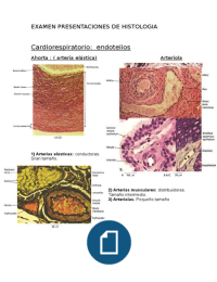 tipos de tejidos histologicos