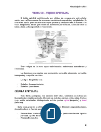 Tema 10 - Tejido epitelial (Citología e Histología)