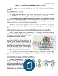 Tema 10 - Vía biosintética-secretora (Biología Celular)