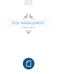 Aantekeningen/samenvatting risk management