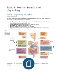IB Biology - Human Health and Physiology