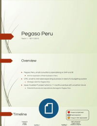 Project Management: Pegaso Peru Case Study