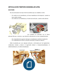 Exploración articulación temporo-mandibular