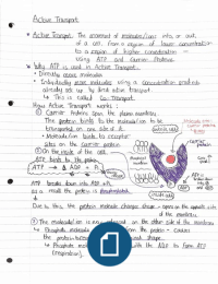 Active Transport - Revision Notes