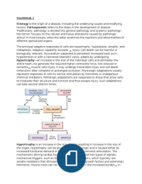 Latest Preview Thumbnail