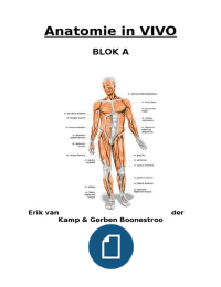 fysiotherapie anatomie jaar 1 blok B
