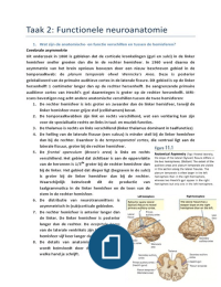 Taak 2 - Functionele Neuroanatomie