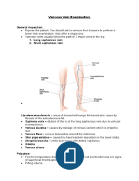 Latest Preview Thumbnail