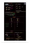 NEET Cell cycle and division notes
