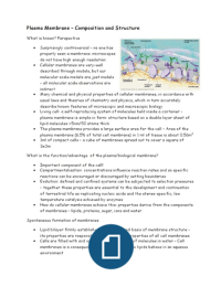 LT6 Plasma Membrane Composition