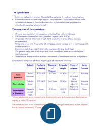 LT11-12 The Cytoskeleton