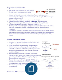 LT16 Regulation of Cell Growth