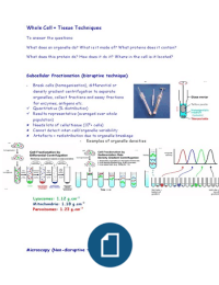 LT19 Cell and Tissue Techniques