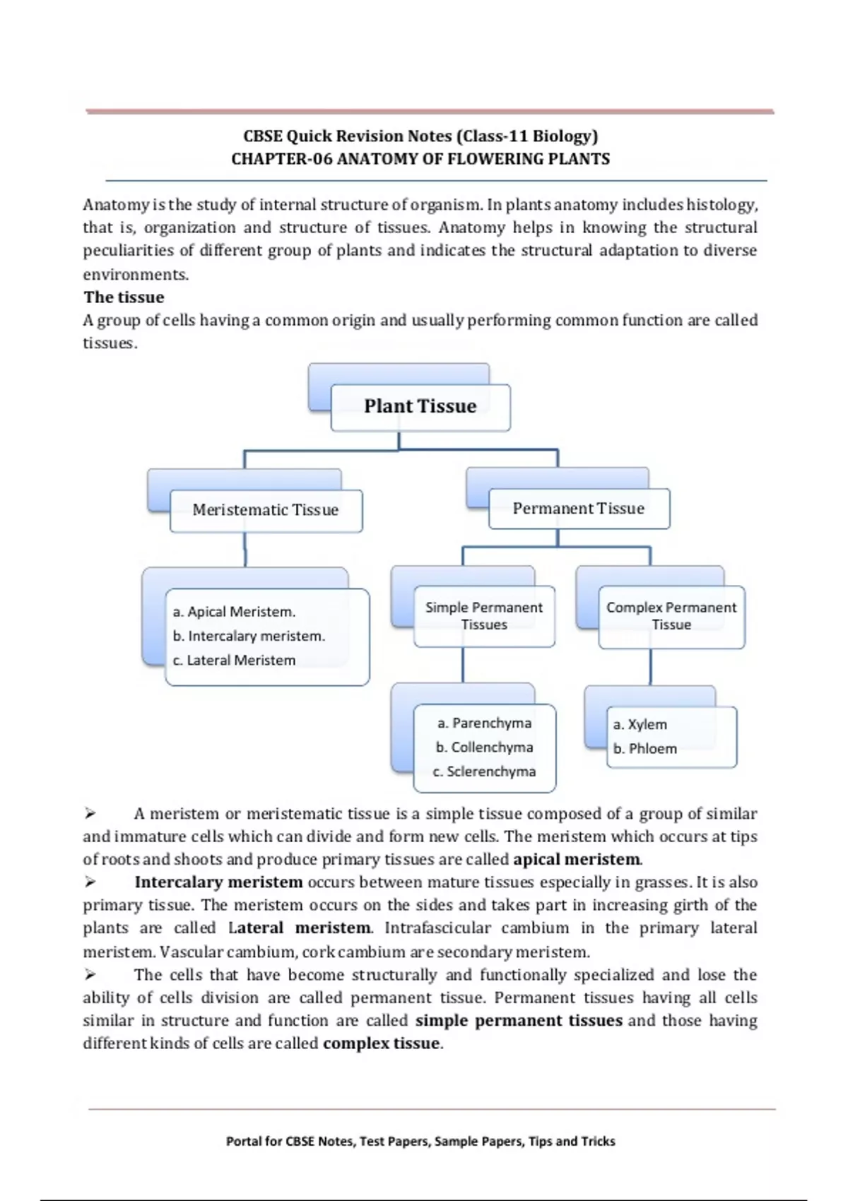 Biology notes 11th class chapter 6 - NEET - Stuvia US