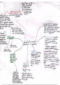 Kind map summaries on aggression in aqa a level psychology