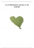 2&period;2&period;4 Methodisch werken in de praktijk &lpar;cijfer&colon; 8&comma;6&rpar; Begeleidingsplan