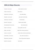HESI A2 Major Muscles Complete Exam With Detailed Correct Answers&period;