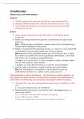 A-level Politics A&ast; essay plans for UK parliament